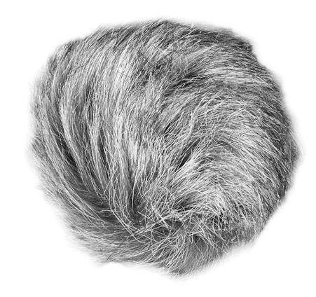 Zoom WSU-1 Universal Windscreen