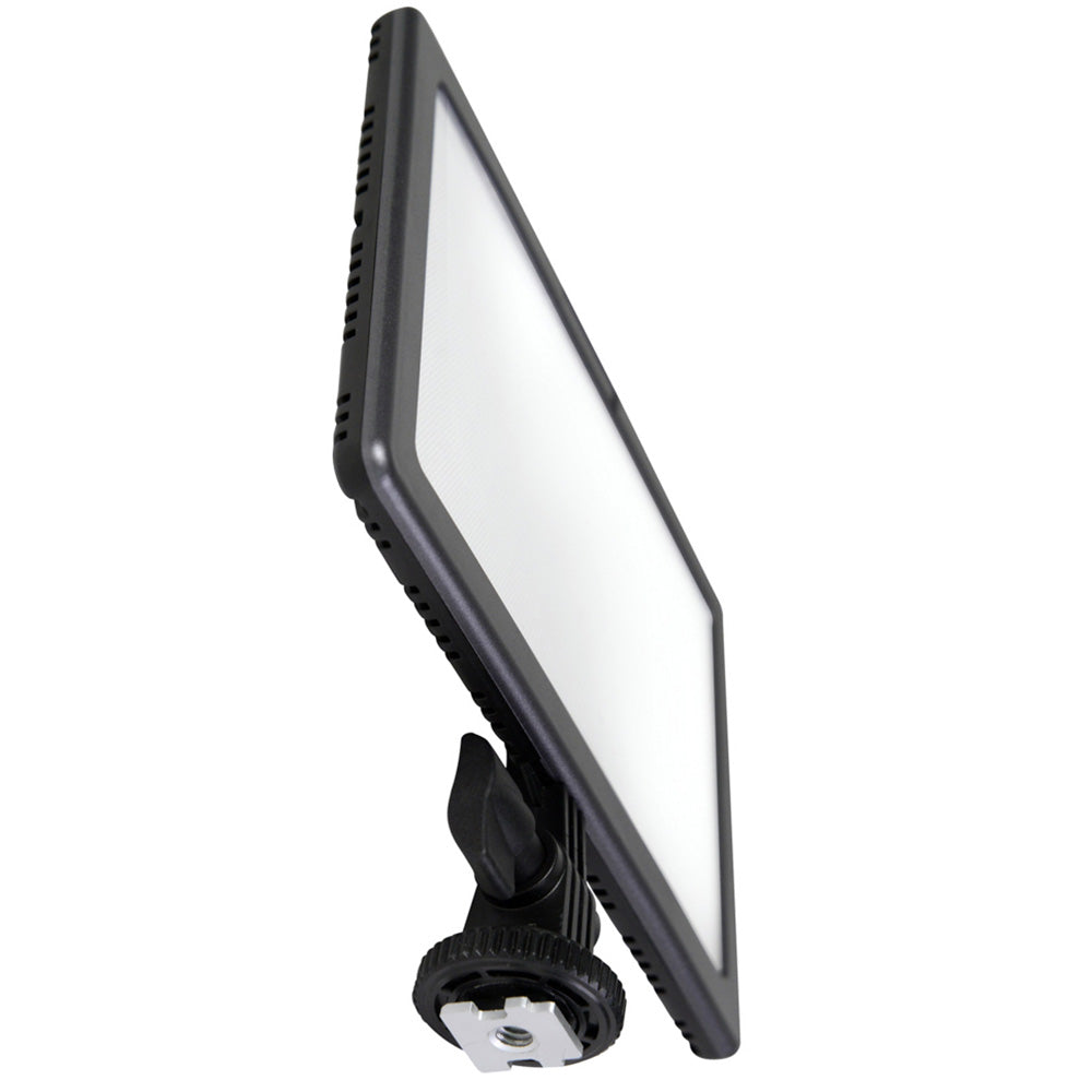 Ledgo E116CII Bi-Color