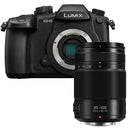 Panasonic Lumix DMC-GH5 + 35-100mm F/2.8 II