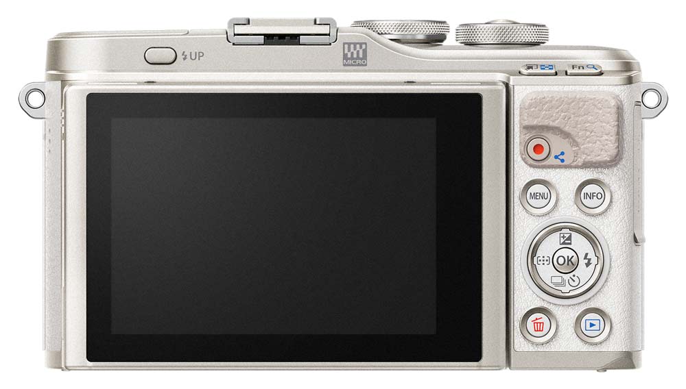 Olympus PEN E-PL9 body wit