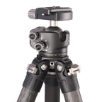 Leofoto Ranger LS-324C + Kugelkopf LH-40