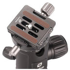 Leofoto NB-34 + NP-50 Kugelkopf mit PC