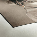Hahnemühle Photo Rag 308gsm A2 25 Blatt