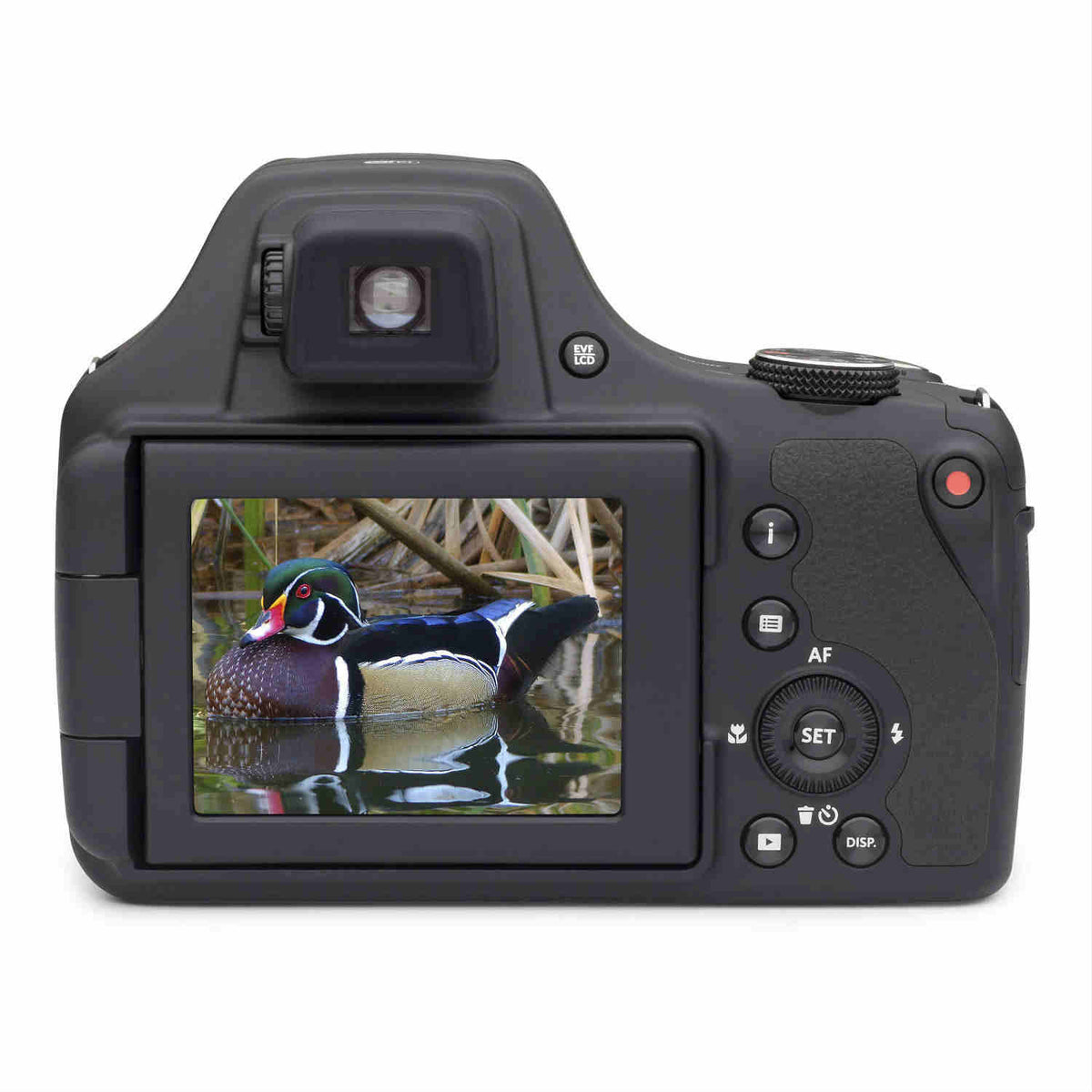 Kodak Pixpro AZ901 black
