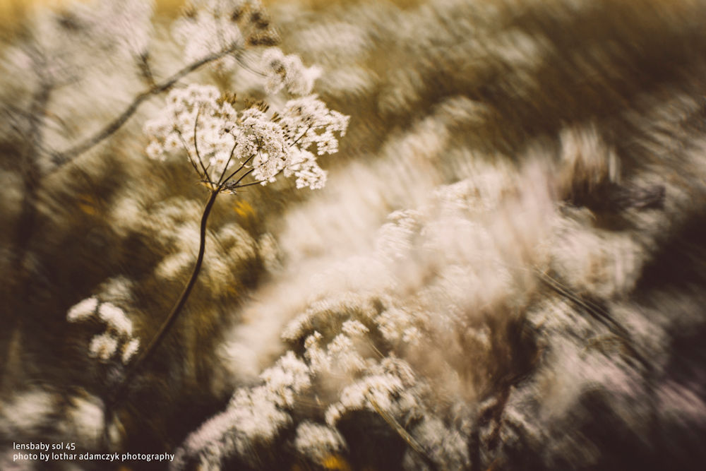 Lensbaby Sol 45 Sony E