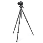 Gitzo GHF2W 2-Wege-Fluidkopf