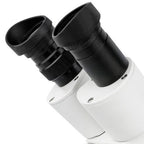 Bresser Mikroskop Erudit ICD Stereo (30,5)