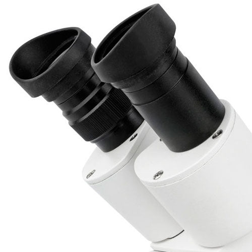 Bresser Mikroskop Erudit ICD Stereo (30,5)