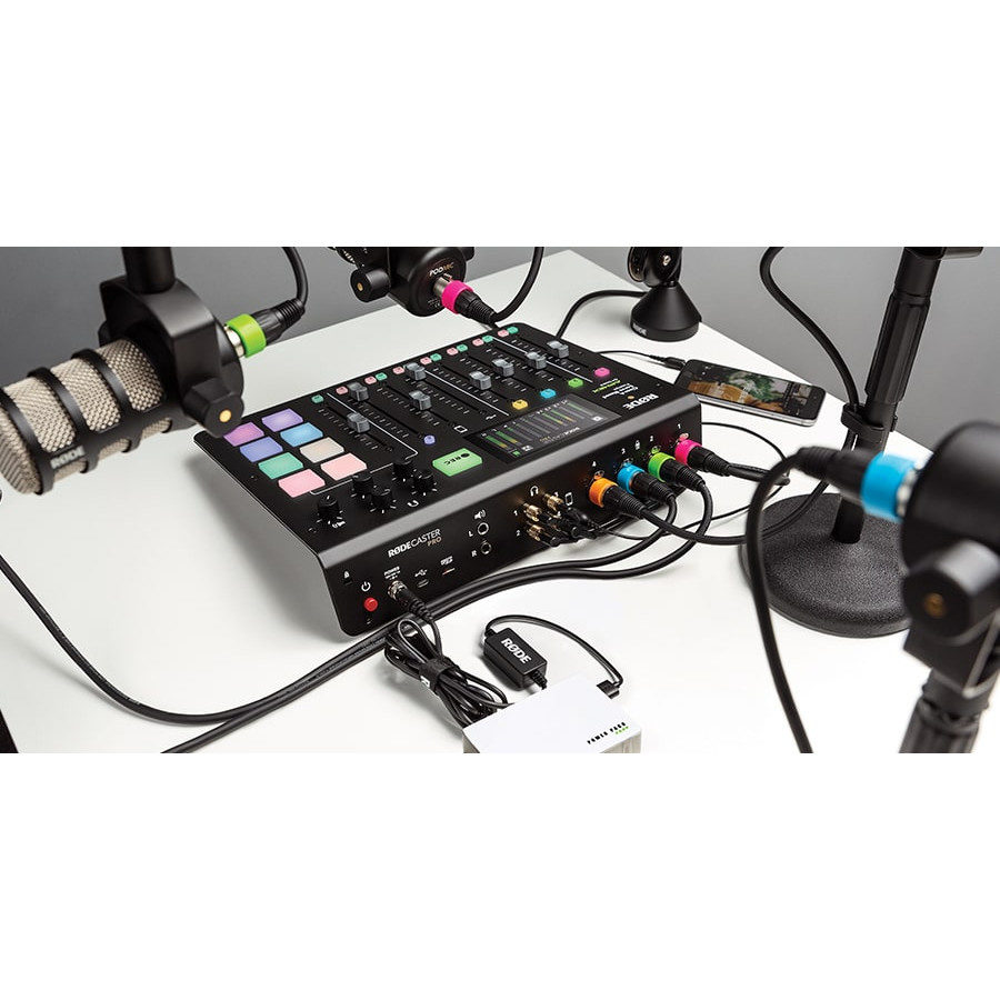 RØDE XLR-ID Set von 8 Farben Ringe