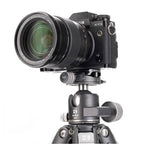 Benro Kugelkopf GX35
