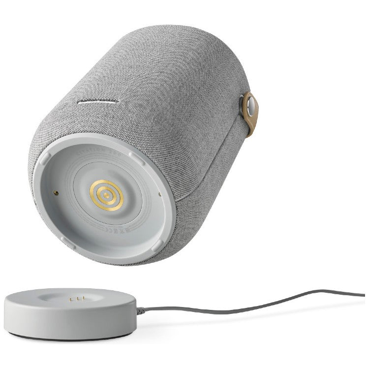 Harman Kardon Citation 200 Grijs