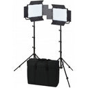 Nanlite 600-CSA bi-color dual kit (with case & light stand)