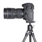 SUNWAYFOTO Kugelkopf XB-25