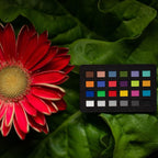 Calibrite ColorChecker Klassisch Nano