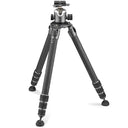Gitzo GK5543LS-83LR, Systembausatz (Systematic Kit), Serie 5, mit Kugelkopf, Serie 4, LR