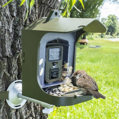 Technaxx Full HD Vogelkamera TX-165