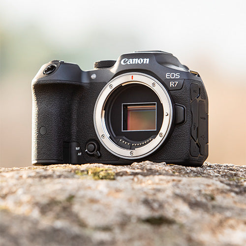 Canon EOS R7 Gehäuse