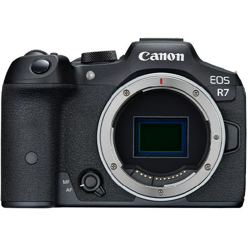 Canon EOS R7 Gehäuse + RF 50mm f/1.8 STM