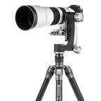 Benro Swing / Gimbal Kopf mit Wechselplatte (GH2N)
