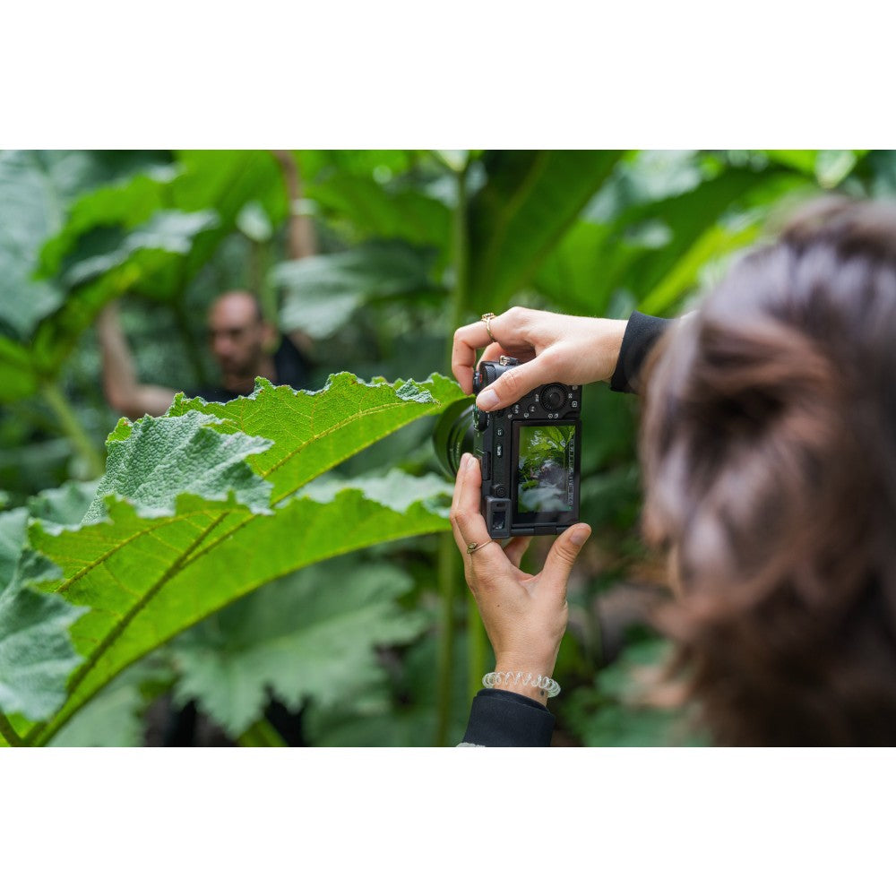 Sony A7C R Silber
