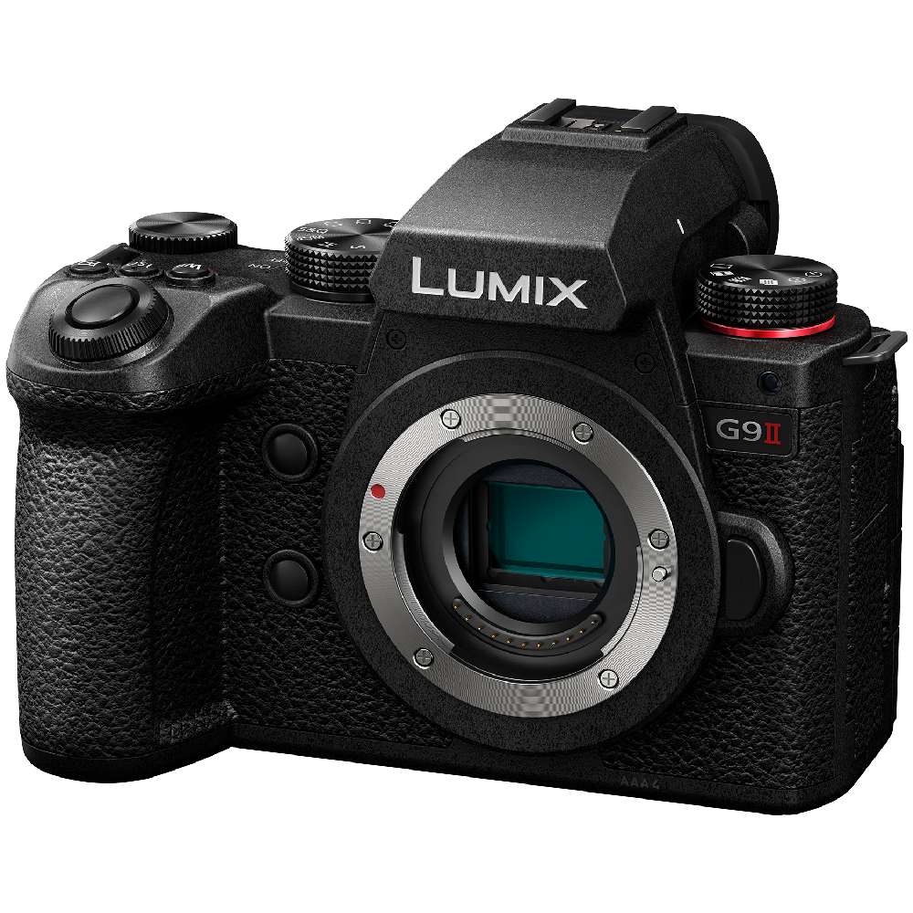 Panasonic Lumix DC-G9II + Leica DG Vario-Elmar 100-400mm