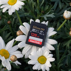 SanDisk Extreme PRO V60 SDXC 128GB UHS-II, Klasse 10