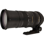 Sigma 150-500mm F/5-6.3 APO DG OS HSM voor Nikon occasion