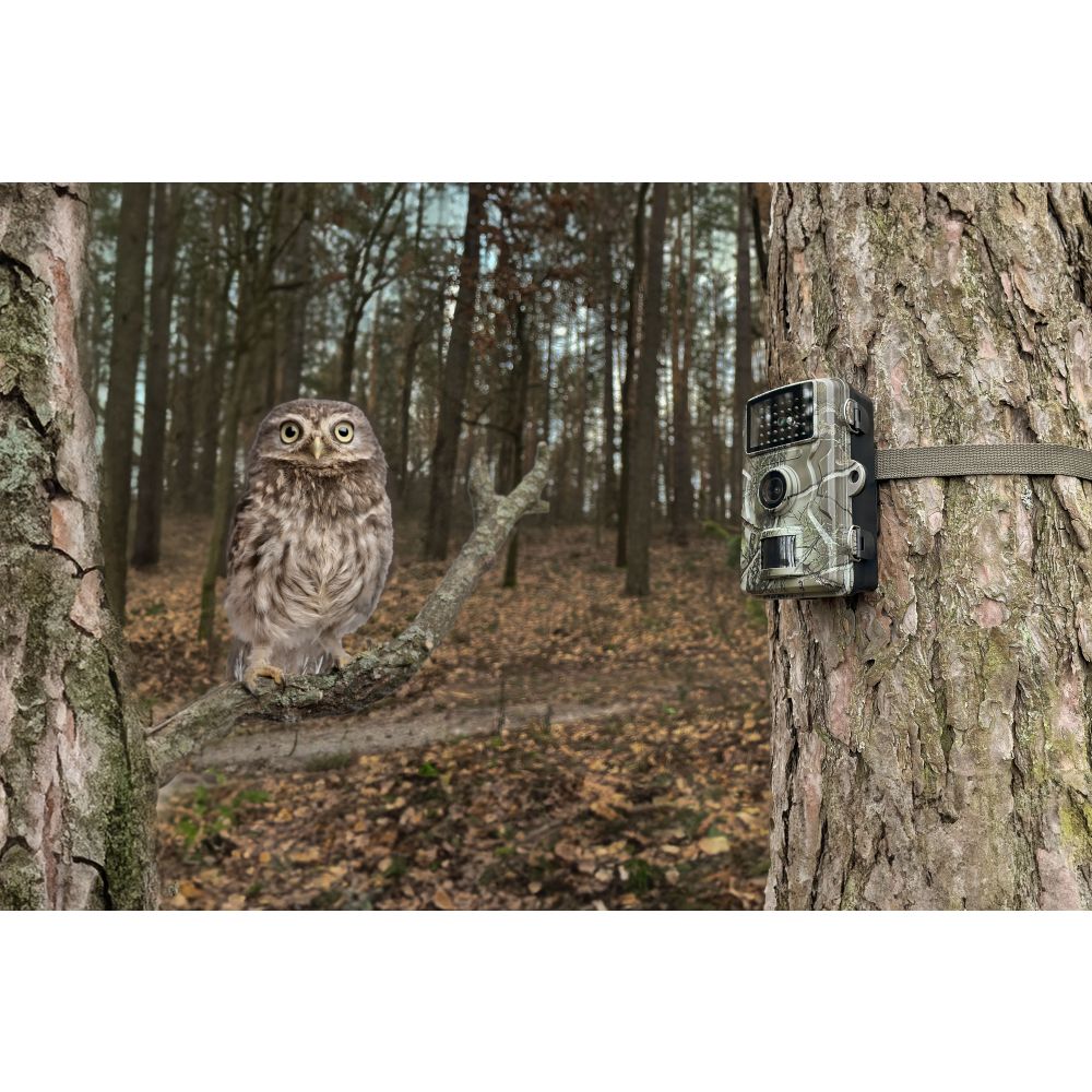 Technaxx Wildlife Kamera 1080p TX-256