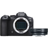 Canon EOS R6 Mark II + EF - RF Mount Adapter