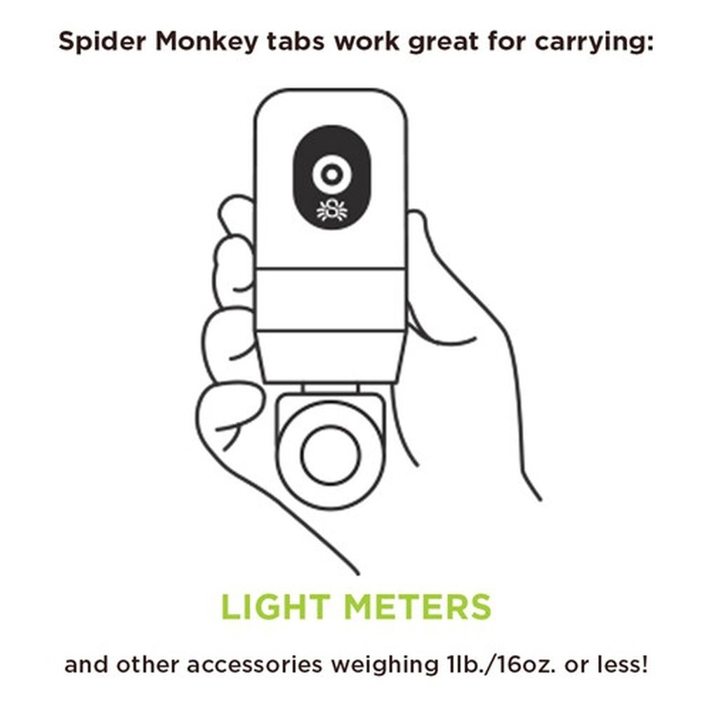 Spider SpiderMonkey (Base + zwei Tabs)
