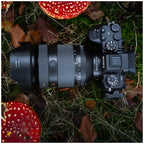 Sony FE 28-70mm f/2.0 GM (SEL2870GM)