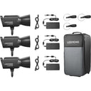 Godox Litemons LA300Bi Zweifarbige LED-Videoleuchte 3-Licht-Kit (schwarz)