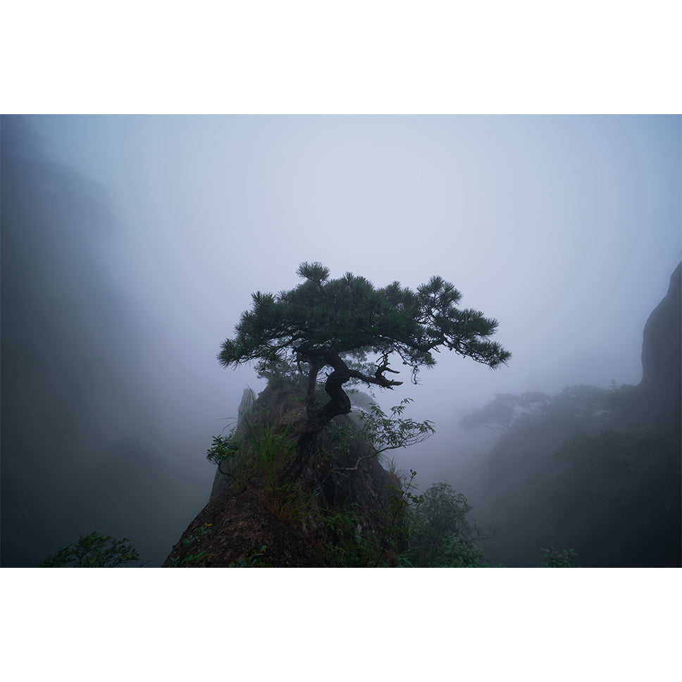 7artisans 14mm f/2.8 Canon RF - Schwarz