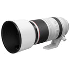Canon RF 100-500mm f/4.5-7.1L IS USM + Extender RF 1.4x