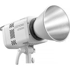 Godox LE300Bi Weißes Litemons Bi-Color-LED-Videolicht