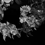 Ricoh GR IV Monochrome