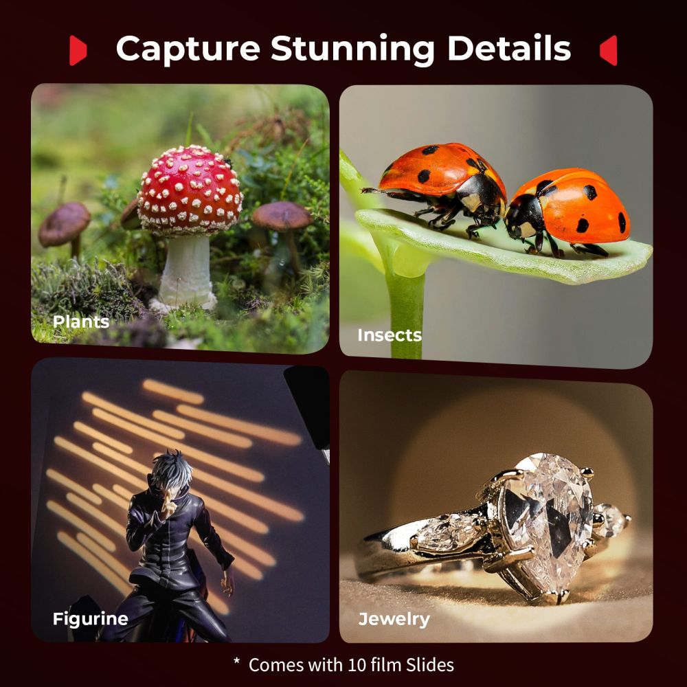SmallRig 5796 RM 03 Macro Photography LED Video Light Kit (2-Pack)