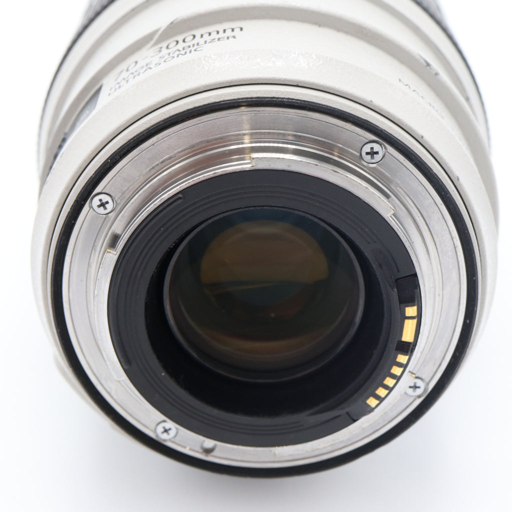 Canon EF 70-300mm f/4-5.6 L IS USM gebraucht
