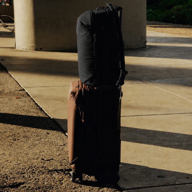 Peak Design Travel Backpack 20L - Schwarz
