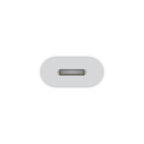 Apple USB-C-auf-Lightning-Adapter