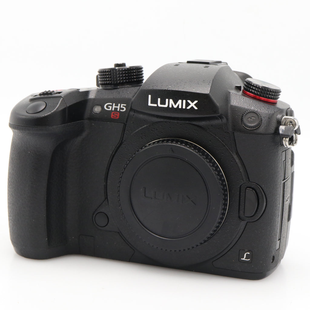 Panasonic Lumix DC-GH5S body used