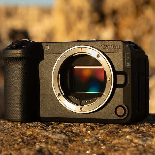 Canon EOS R6 V Gehäuse