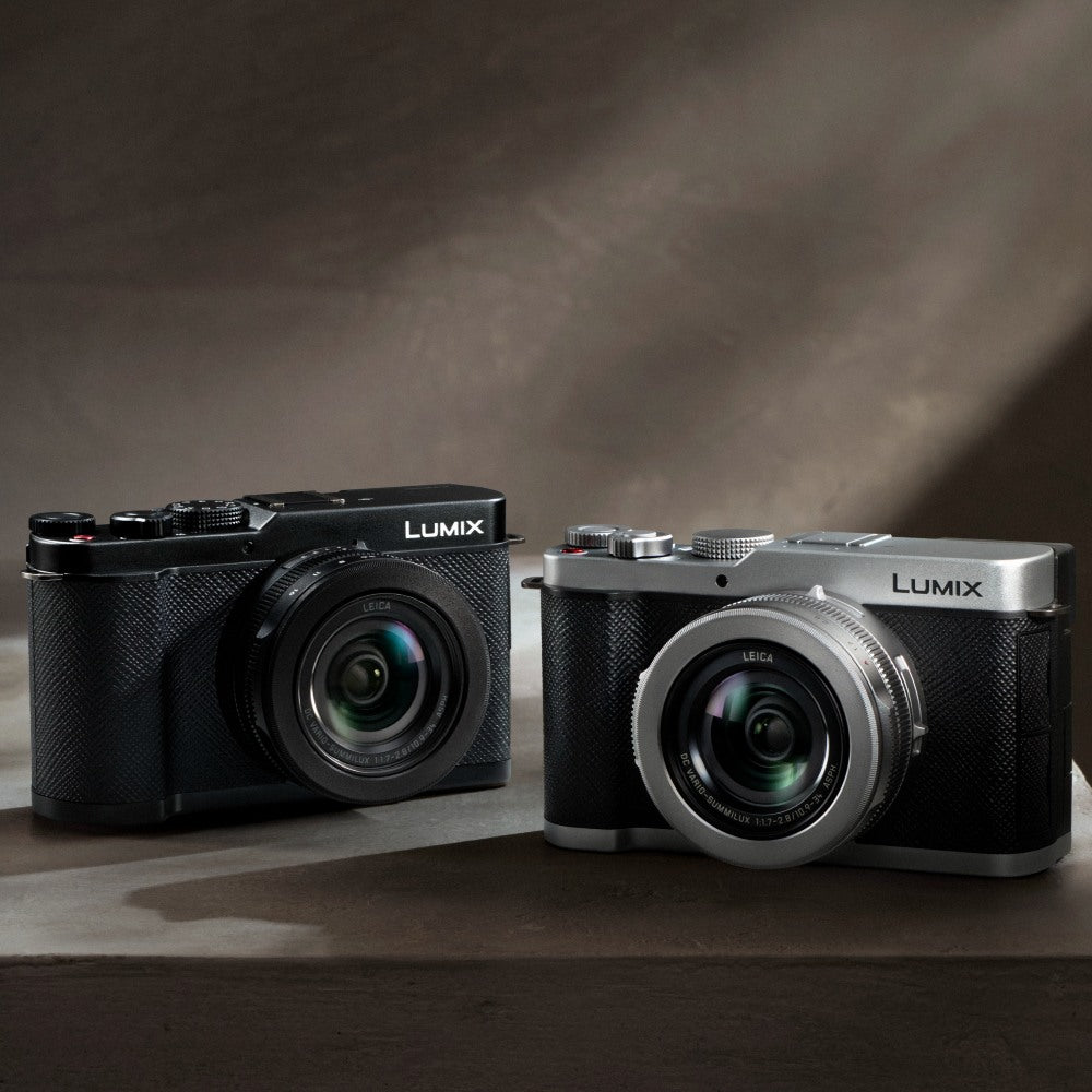 Panasonic Lumix DC-L10 Black