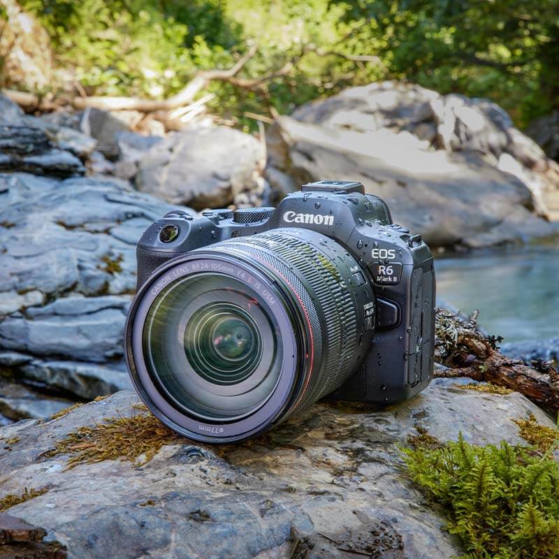Canon EOS R6 mark II + RF 100-400mm f/5.6-8 IS USM lens