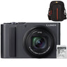 Panasonic Lumix DC-TZ300 - Dunkelsilber + Lexar 64GB SDXC + Case Logic DCB-313