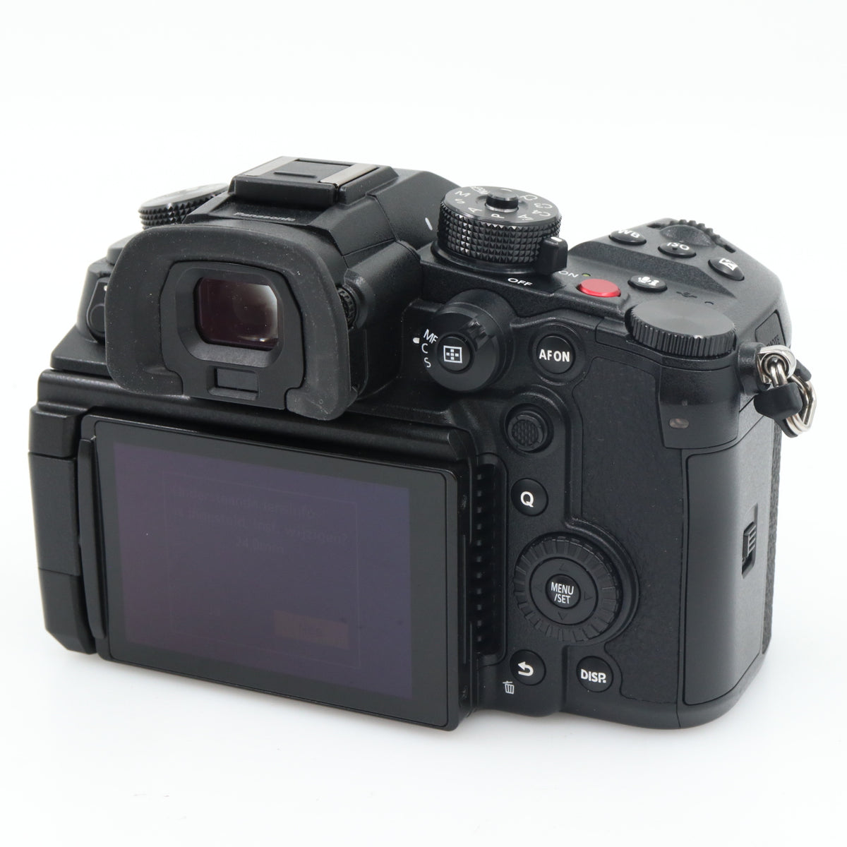 Panasonic Lumix DC-GH6 body used