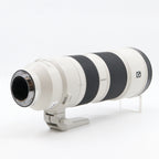 Sony FE 200-600mm F/5.6-6.3 G OSS gebraucht