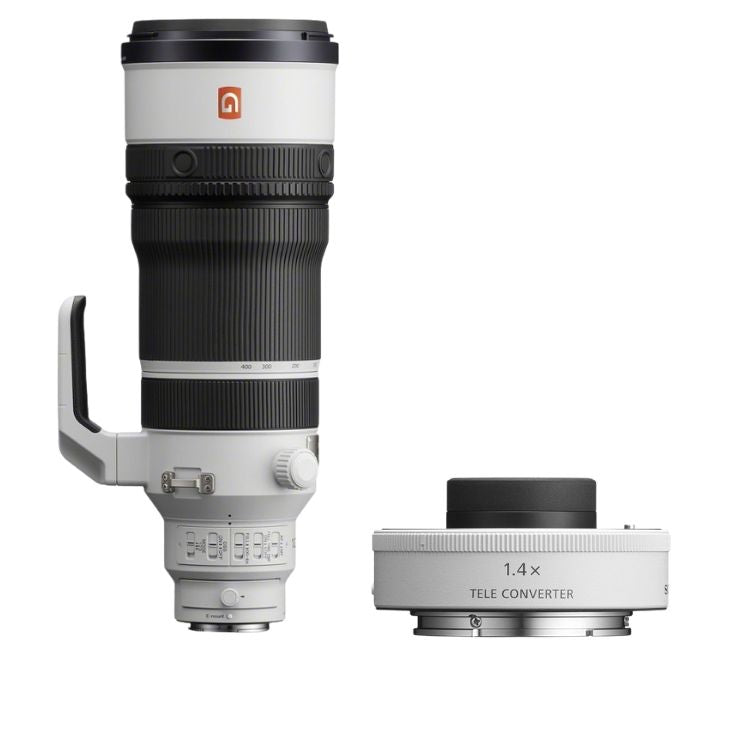 Sony FE 100-400mm F/4.5 GM + 1.4x Teleconverter