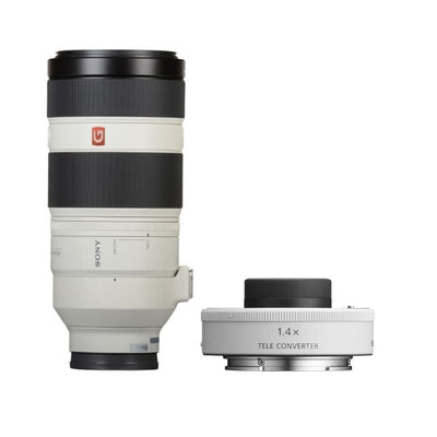 Sony FE 100-400mm F/4.5-5.6 GM + 1.4x Teleconverter