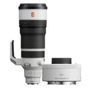 Sony FE 100-400mm f/4.5 GM + 2.0x Teleconverter
